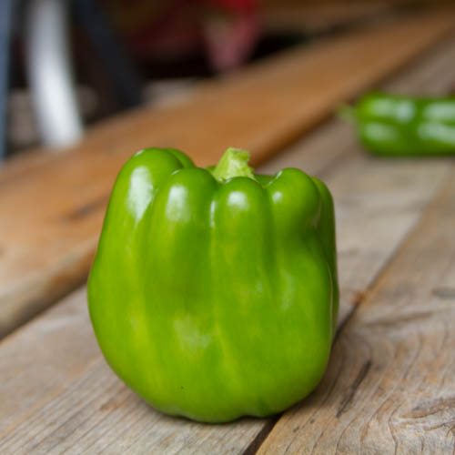 Poivron