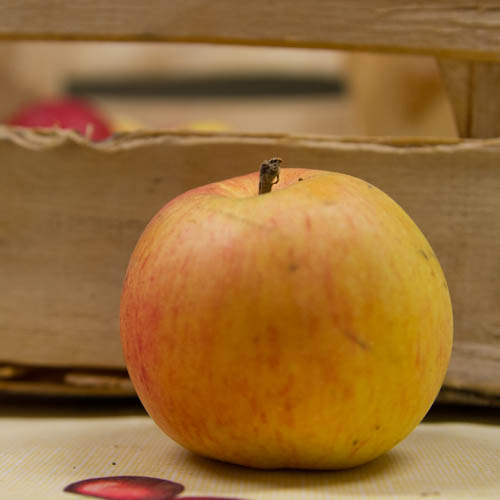 Pomme