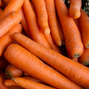 Carottes